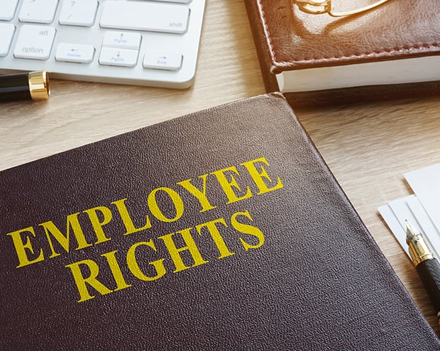 Employee rights handbook
