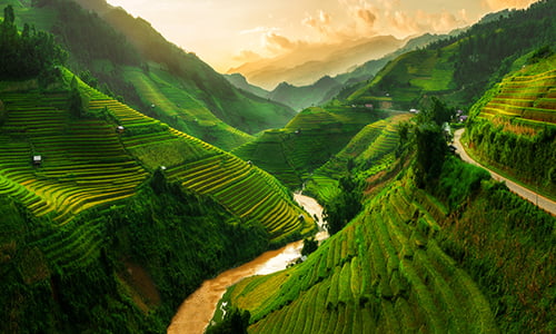 Terraced rice field in Mu Cang Chai, Vietnam
