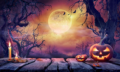 Pumpkins and halloween